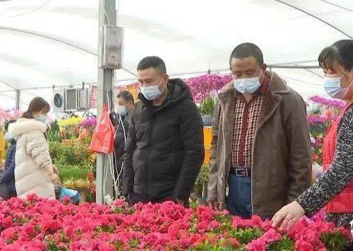 鮮花消費(fèi)熱潮涌動 美團(tuán)外賣銷售激增與產(chǎn)業(yè)升級并行